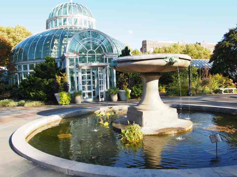 A Green Adventure at the Brooklyn Botanic Garden A Green Adventure at the Brooklyn Botanic Garden