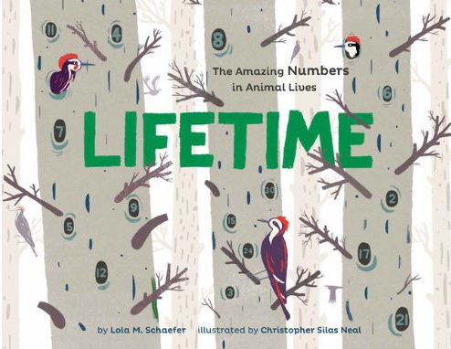 Book Reading: Artist Christopher Silas Neal Brings Nature, Numbers and Art in ‘Lifetime’ Book Reading: Artist Christopher Silas Neal Brings Nature, Numbers and Art in ‘Lifetime’