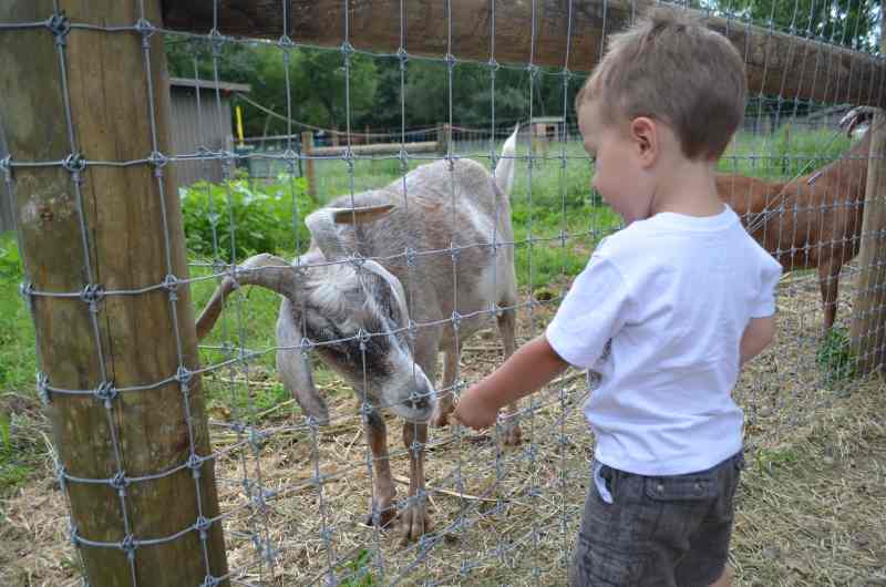 First Visits: Queens County Farm Museum, a Remarkable Place in a Big City First Visits: Queens County Farm Museum, a Remarkable Place in a Big City