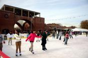 Ice Skating Beyond Manhattan: A Guide to the Rinks in Brooklyn, Staten Island, Queens & the Bronx Ice Skating Beyond Manhattan: A Guide to the Rinks in Brooklyn, Staten Island, Queens & the Bronx