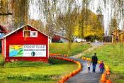 Apple Picking For The Whole Family Apple Picking For The Whole Family