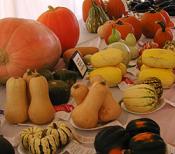 Celebrating Fall: New York Style Celebrating Fall: New York Style