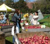 Weekend Family Events - October 6 and October 7 Weekend Family Events - October 6 and October 7