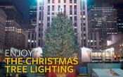 The Rockefeller Center Christmas Tree The Rockefeller Center Christmas Tree