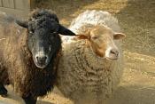 Weekend Family Events - May 3 and May 4 Weekend Family Events - May 3 and May 4