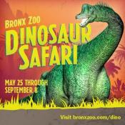 Dinosaur Safari