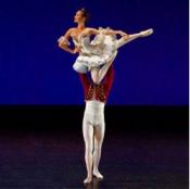 For Your Little Twinkle Toes: a Roundup of NYC Nutcracker Shows For Your Little Twinkle Toes: a Roundup of NYC Nutcracker Shows