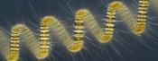 Nikon Small World Photomicrography Competition Nikon Small World Photomicrography Competition