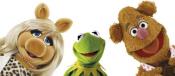 Live Event: The Muppets Character Encyclopedia Live Event: The Muppets Character Encyclopedia