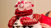 Weekend Family Events - March 1 and March 2 Weekend Family Events - March 1 and March 2