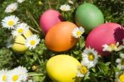 Weekend Family Events - April 12 and April 13 Weekend Family Events - April 12 and April 13