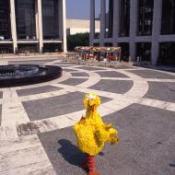 “Somebody Come and Play:” 45 Years of Sesame Street Helping Kids Grow Smarter, Stronger, and Kinder “Somebody Come and Play:” 45 Years of Sesame Street Helping Kids Grow Smarter, Stronger, and Kinder