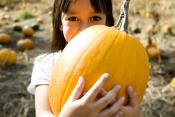 Go Full Out Pumpkin This Season Go Full Out Pumpkin This Season
