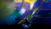 Voyage to the Virtual Voyage to the Virtual