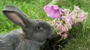 Weekend Family Events - April 4 and April 5 Weekend Family Events - April 4 and April 5