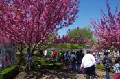 Weekend Family Events - May 2 and May 3 Weekend Family Events - May 2 and May 3