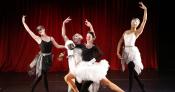 Ballerina Swan Ballerina Swan